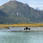 bear with two cubs at the head of a lake by mountains