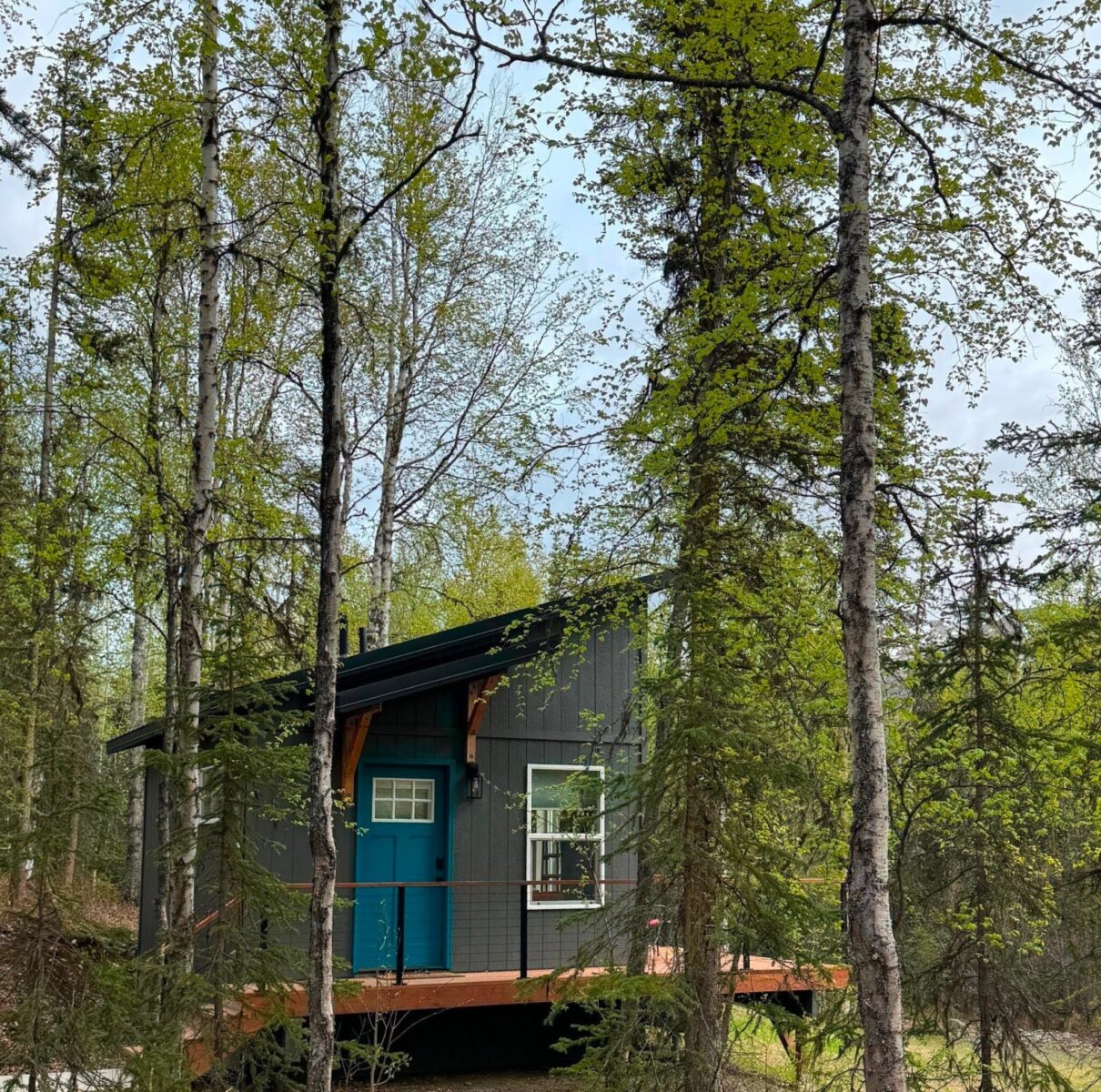 A small wooden chalet in the forest