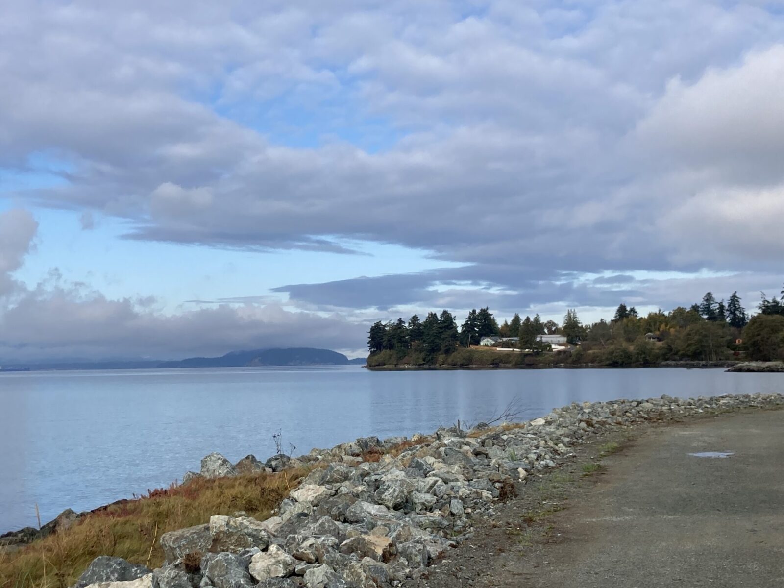 a wide gravel trail on a dyke near the water of padilla bay