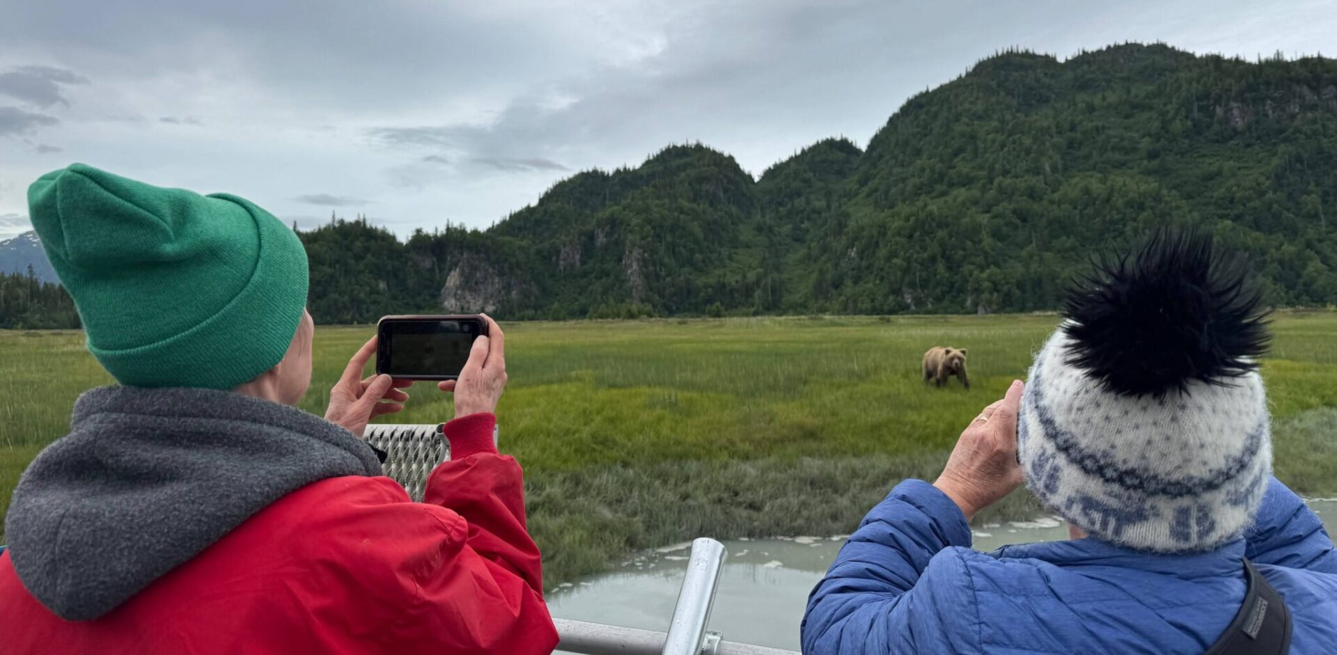 Two people in winter hats and coats holding up phones to take a photo of a nearby brown bear in a field of Sedge grass in Lake Clark National Park