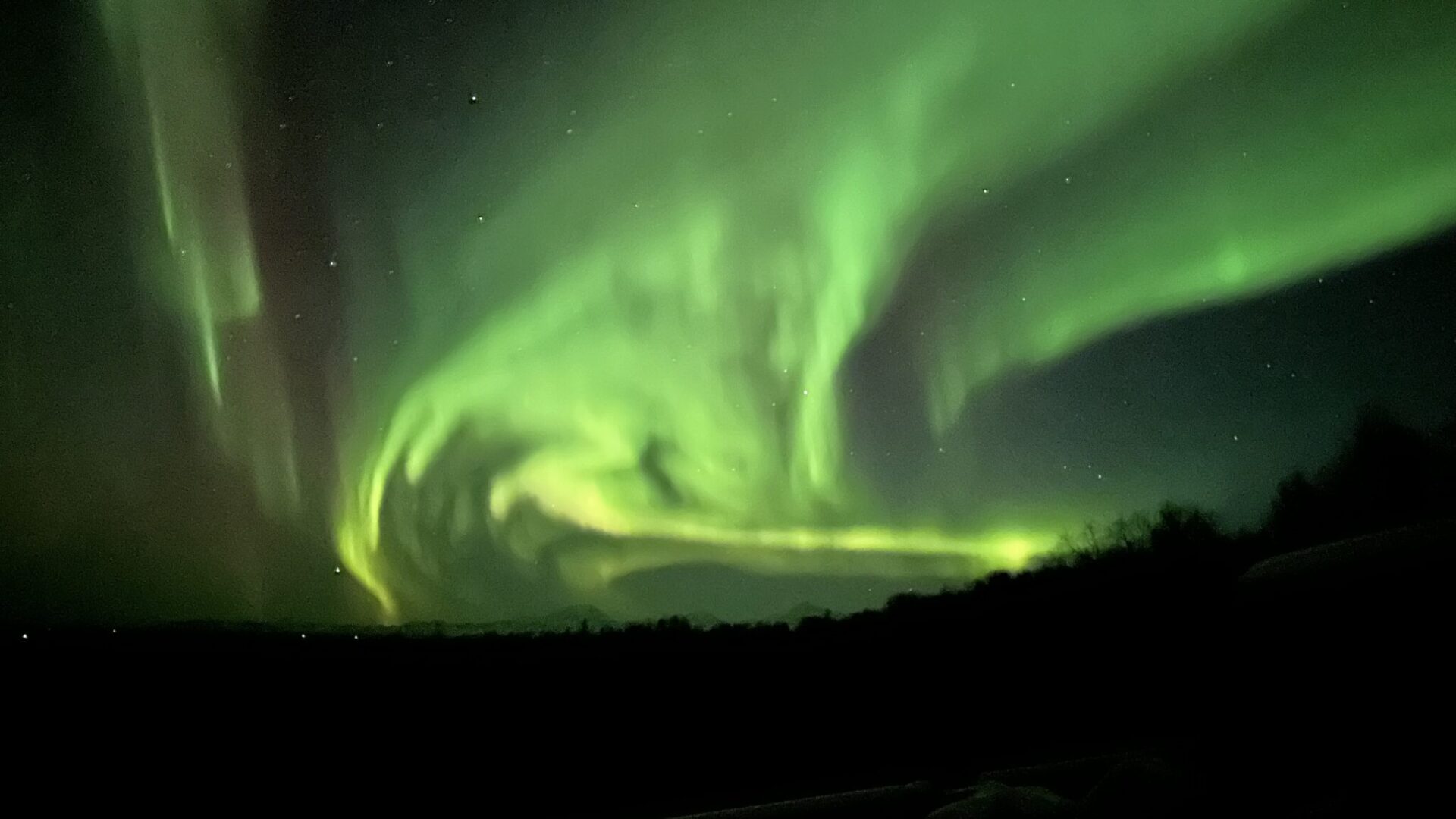 A green aurora over trees and mountains