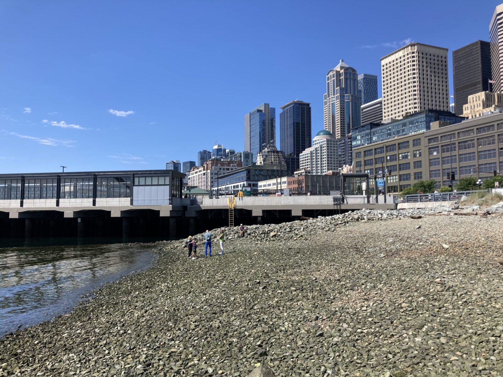 Habitat Beach, a rocky beach in downtown seattle
