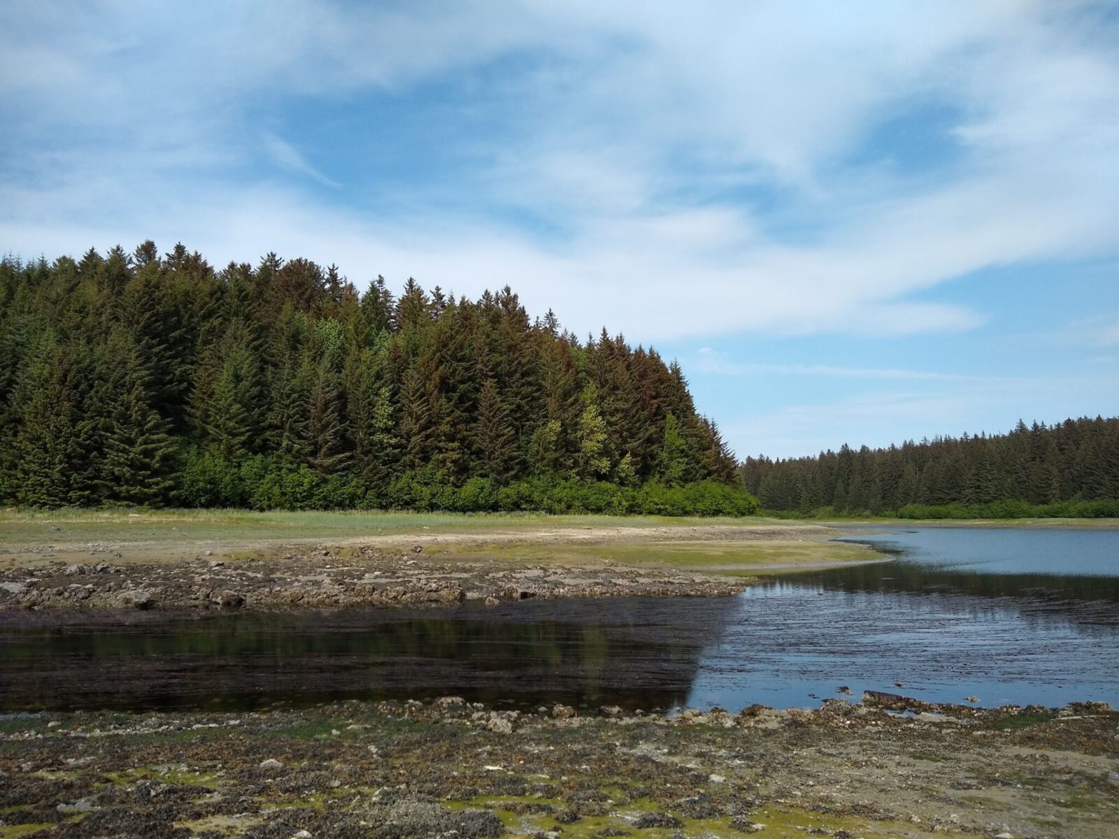 Bartlett River in Glacier Bay National Park