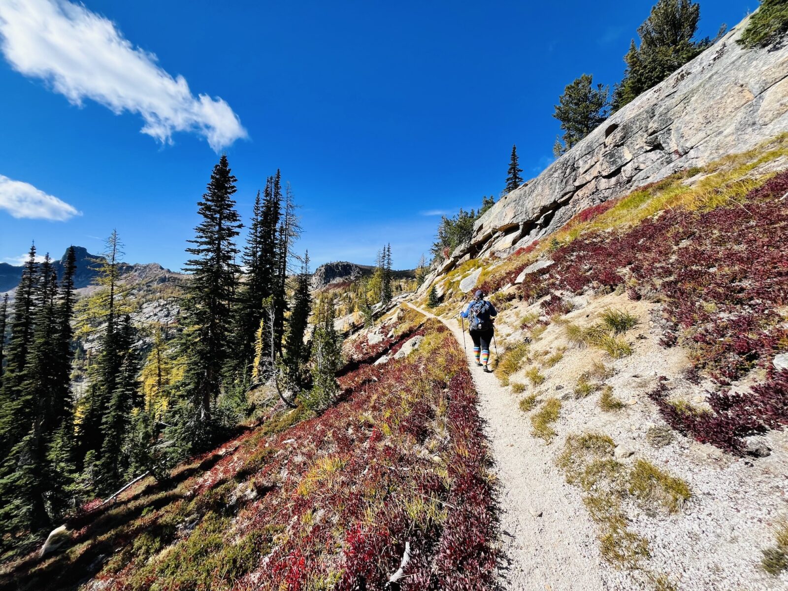 A hiking trail with a hiker going up  a hill on a narrow trail on the side of a steep slope. The trail is lined with a few trees, rocks and some red berry bushes