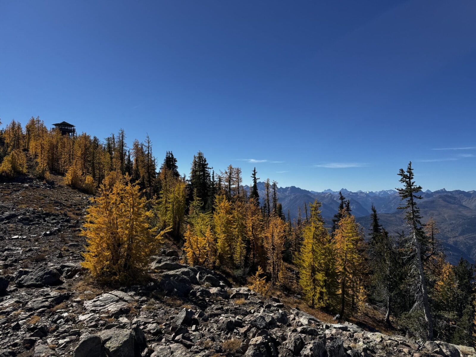 Golden Larch trees in the foreground and the Goat Peak Lookout with North Cascades mountains in the background with blue sky and sun